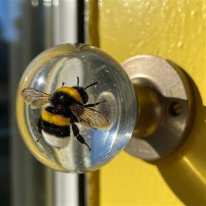 Poignées de porte en bois et résine faites à la main de qualité supérieure, poignée décorative pour armoire, tirette de tiroir en bois naturel pour meubles vintage et intérieur - Product Image 5