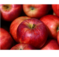 Pommes rouges fraîches récoltées en verger, fruit juteux et croustillant, douceur naturelle, qualité A, Ocean Link Exim, usage quotidien, vente au détail et en gros