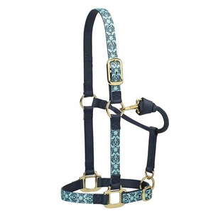 Harnais en cuir marron pour cheval avec quincaillerie dorée et plaque nominative - Product Image 2