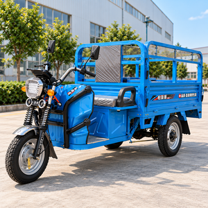 Venta al por mayor: Triciclo eléctrico de carga de más de 1000W, 60V, 3 ruedas, carrocería abierta, para adultos, 7 pasajeros, autonomía de 90 km, 30-50 km/h - Product Image 1