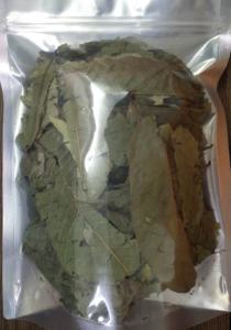 Hojas de Guayaba Secas Premium para la Producción de Té Herbal, Ricas en Antioxidantes y Nutrientes Esenciales para Exportación Global al por Mayor - Product Image 3