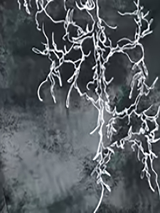 Pantalon de jogging léger pour homme, taille haute, 100 % coton, coupe évasée, avec logo personnalisé et patchwork – Nouvelle collection - Product Image 4