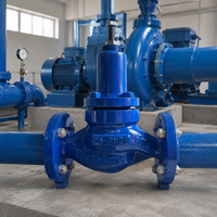 Válvula de Alivio de Accionamiento Automático de Paso Directo OEM al por Mayor, Conexión Bridada DN25, Control de Presión Hidráulica para Agua Industrial