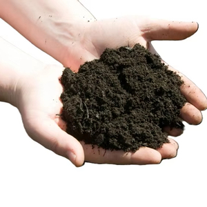 Vermicompost en Polvo 100% Natural de Alta Calidad, Precio de Fábrica del Delta de Vietnam, Abono Orgánico para el Suelo - Product Image 1