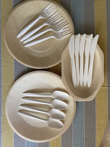 Eco Friendly Compostable Paper Spoon for Festival Event and Food Stall 155mm Paper Spoon for Yogurt Smoothie Bowl and Desserts - Product Image 5