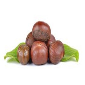 Nueces frescas de nueva cosecha - Product Image 1