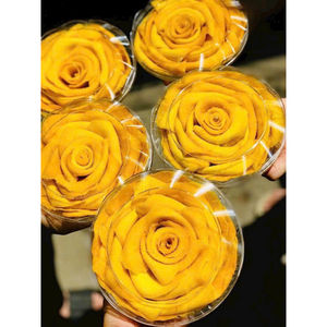 Mangue séchée douce vietnamienne 100 pour cent de saveur tropicale douce naturelle - Product Image 3