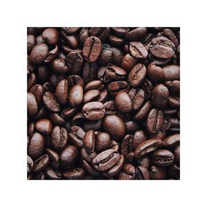 Granos de café a precio de descuento, suministro a granel, listos para exportación al por mayor - Product Image 2