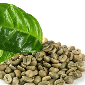 Café Robusta torréfié de spécialité USDA, taille 16, qualité G1 G2, avec 0,1 % de grains noirs et brisés, provenant du Vietnam, fournisseur exportateur en gros - Product Image 1