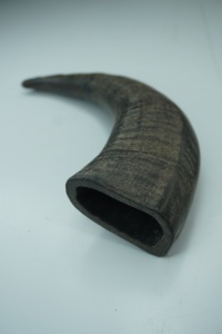Authentique corne de buffle à mâcher pour chien, durable, nutritive, sans odeur, friandise naturelle pour les mâcheurs forts, par NHE Overseas - Product Image 1