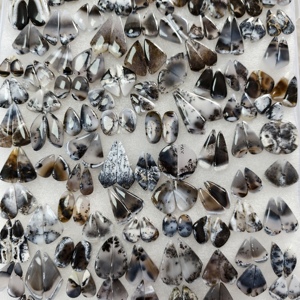 Paire de cabochons en agate dendritique naturelle, lot de pierres précieuses en gros, 15x10x3mm, 30x10x3mm, pierres lâches polies, 16 carats en moyenne - Product Image 5