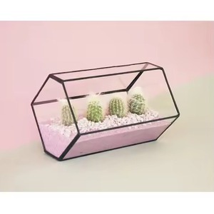 Terrarium en métal élégant avec pot en verre, support décoratif pour plantes d'intérieur, décoration géométrique pour la maison - Product Image 5