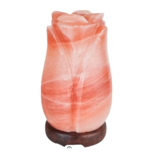 Lampe en sel de l'Himalaya sculptée, forme géométrique, motif floral, artisanat naturel, toucher réel, décoration d'intérieur, Sian Enterprises - Product Image 5