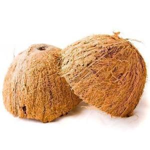 Cáscara de Coco Seca Premium, Materia Prima Natural para la Producción de Carbón Vegetal y Carbón Activado - Product Image 2