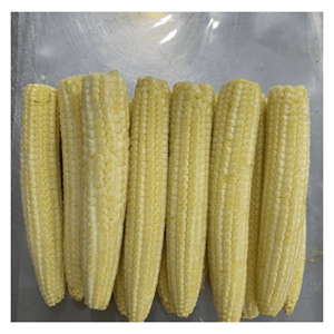 Maíz bebé congelado IQF elaborado con maíz bebé seleccionado para mezclas de verduras, cocina de restaurantes y producción de alimentos congelados, Vietnam - Product Image 1