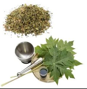 Fleurs de papaye séchées de qualité supérieure-approvisionnement naturel, biologique et en vrac - Product Image 3