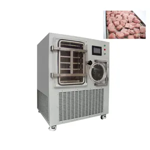 Best Price Small Freeze Dryer Freeze Dryer Meat Freeze Dryer Price