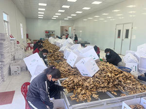 Jengibre Fresco Premium de Vietnam, Limpio y Lavado, Especia Picante, Calidad de Exportación, Proveedor - Product Image 3