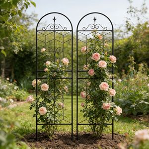 Set di 2 Tralicci da Giardino in Metallo Antiruggine 180 cm x 50 cm Neri, Supporto per Piante Rampicanti da Esterno - Product Image 1