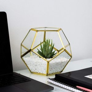Geometric Glass <b>Box</b> With Gold Frame Polygonal Design Modern Style Transparent Decorative <b>Container</b> - Product Image 4