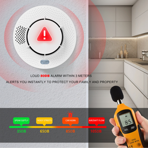 LoRa <b>Wireless</b> Smoke Detector Battery Powered Photoelectric Fire <b>Alarm</b> Sensor CE EN54 - Product Image 5