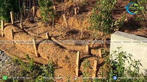 Blocs de fibres de coco pour le contrôle de l'érosion et la rétention de la végétation sur les pentes et les bords de rivière - Product Image 2
