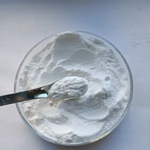 Polvo de Enzima Lactasa 10000 a 100000 ALU/gm, Enzima Láctea para Reducción de Lactosa, Procesamiento de Leche, Productos Lácteos y Fabricación de Alimentos - Product Image 1