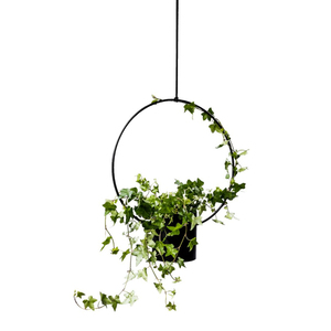 Modern Wall Mounted Metal Planter 2 Tier Hot Selling Garden <b>Pot</b> For Indoor Outdoor Home Decor & Office Garden Use Best Price - Product Image 6