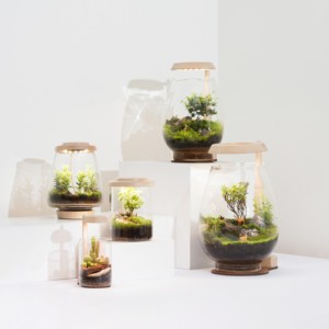 Lámpara de escritorio de suculentas LED de terrario alimentada por USB personalizada Grow Light Bloom 100% ecológica - Product Image 5