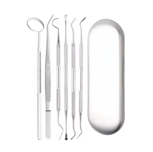 Nouveau kit d'hygiène buccale manuel 3/6/8 pièces, ensemble d'outils de nettoyage dentaire en acier inoxydable pour soins dentaires et instruments chirurgicaux pour animaux de compagnie - Product Image 2