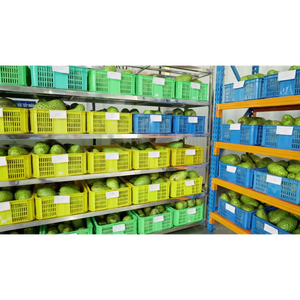 1L Bebida de jugo Guanabana clásica - Product Image 4