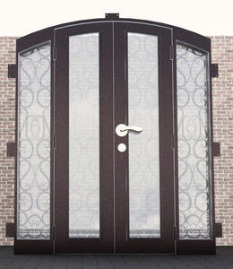 Systèmes modernes de portes et fenêtres en fer forgé étanches pour l'entrée, fabriqués par un fabricant expérimenté de portes de sécurité - Product Image 3