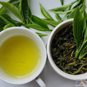Té Verde Orgánico Vietnamita Seco en Hojas Sueltas, Té Herbal Amargo a Granel al por Mayor para Preparación Diaria, Suministro Saludable e Inofensivo - Product Image 3