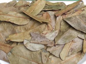 Hojas de Guanábana Orgánicas al por Mayor |   Secado y Limpiado |   Vietnam |   Viet Delta |   Duración de vida útil de 12 meses |   Preparar Té |   Hazel |   Viet Delta - Product Image 2