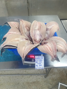 Pangasius Butterfly Congelado IQF de Vietnam, 10 kg, en Caja, con 0-20% de Glaseado de Hielo, 20-35 cm, Filete de Pescado VH con Piel/Sin Piel - Product Image 4