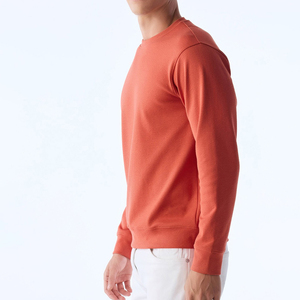 Men's Casual Cotton Sweatshirts Solid Pattern 100% Cotton Winter Season <b>Thick</b> <b>Fleece</b> with Custom Logo Embroidery Wholesale - Product Image 3