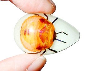 Cabujón de plástico con espécimen real de insecto floral, corte en forma de pera, parte superior de 33x22 mm, base plana brillante para manualidades y fabricación de joyas - Product Image 4