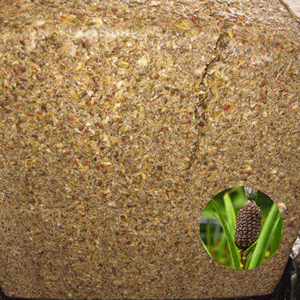 Piel de Piña Ensilada de Primera Calidad Hecha en Vietnam, Precio Competitivo, Más Vendida, Empacada en Bolsa Jumbo - Product Image 1