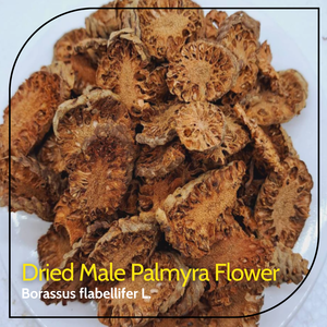 Rodajas de inflorescencias de palma secas de la mejor calidad, rodajas de espada de Borassus Flabellifer (flor de palma Toddy), precio competitivo - Product Image 1