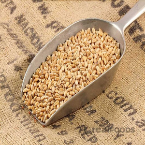 Granos de Trigo Blando de Primera Calidad para Exportación al por Mayor, Grado Alimenticio Premium, Disponibilidad Inmediata para Compradores Globales - Product Image 5