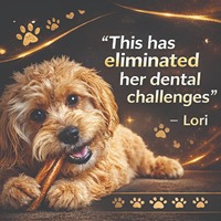 Barritas de Carne de Res Orgánicas Naturales para Perros, Masticables, Altos en Proteínas, Sin Granos, Seguros, Refuerzan el Sistema Inmunitario, Saludables, Duraderos, para el Cuidado Dental y de las Articulaciones