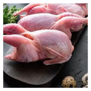 Carne de Codorniz Halal Congelada de Primera Calidad, Empacada para Exportación, Suministro al por Mayor - Product Image 5