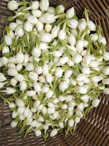 Pétalos de Jazmín Secos Premium 2026, los Más Vendidos, para Mezclas de Té de Hierbas y Baños Relajantes, Ingrediente Floral Puro - Product Image 2