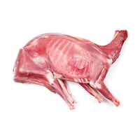 Carcasse d'agneau HALAL fraîche surgelée IQF, qualité supérieure, grade A, 25 kg, origine Royaume-Uni, prête à l'exportation