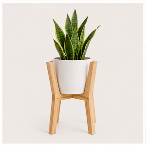 Soporte de Madera para Plantas con Diseño Atractivo, Soporte para Macetas de Madera Sostenible para Decoración de Interiores, Sala de Estar y Esquinas, en Oferta - Product Image 1