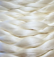 Fil de Soie de Mûrier Brut Premium Naturel pour Tissage, Broderie, Tricot et Fabrication Textile