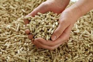 Bâtons de biomasse Az Farms 8 mm, haute valeur calorifique, combustible renouvelable pour chaudières industrielles, 2 % de cendres, 5 % d'humidité - Product Image 4