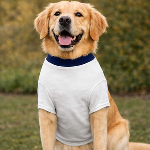 White Cotton Dog T-Shirt With Navy Blue <b>Collar</b> Simple Leisure Wear All Seasons Breathable Machine Washable <b>Pet</b> Clothes - Product Image 3
