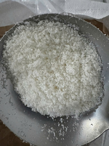 Producto Popular 2024, Coco Liofilizado Orgánico Vietnamita de Alta Calidad, Bajo/Alto en Grasa, Exportación a Granel, Sabor Dulce - Product Image 3