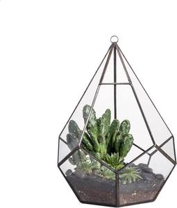 Terrarium de table en verre transparent géométrique en forme de pyramide avec couvercle pour plantes succulentes, plantes aériennes, mousse et fougères, noir - Product Image 6